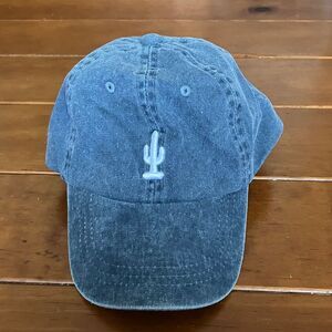 Blue Cactus Hat